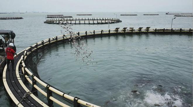 药物残留超标10倍！泥鳅变“生化毒鳅”我们该如何躲过背刺？(图8)