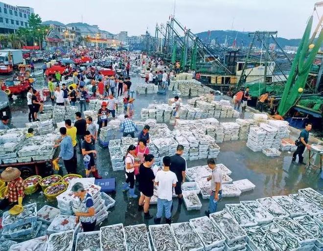 药物残留超标10倍！泥鳅变“生化毒鳅”我们该如何躲过背刺？(图16)