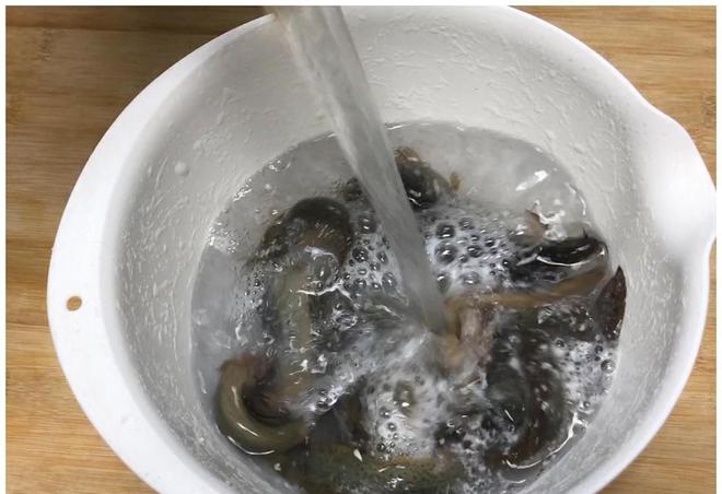药物残留超标10倍！泥鳅变“生化毒鳅”我们该如何躲过背刺？(图17)