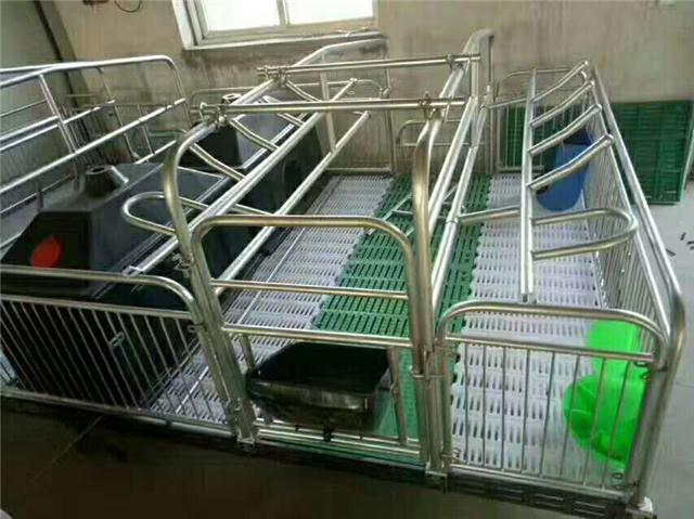专业生产焊接养猪设备双体母猪产床