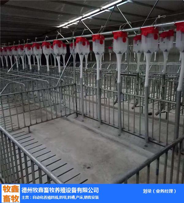 养猪设备哪家好-四川养猪设备-牧鑫养殖自产自销