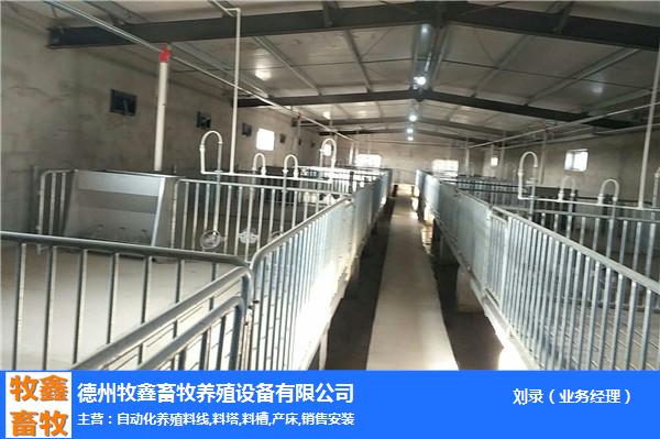 养猪设备哪家好-四川养猪设备-牧鑫养殖自产自销(图3)