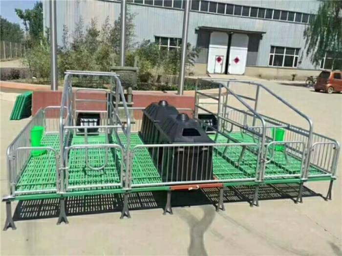 母猪产床生产厂家楚雄母猪产床福宇养猪设备公司价格、电话、图片(图2)