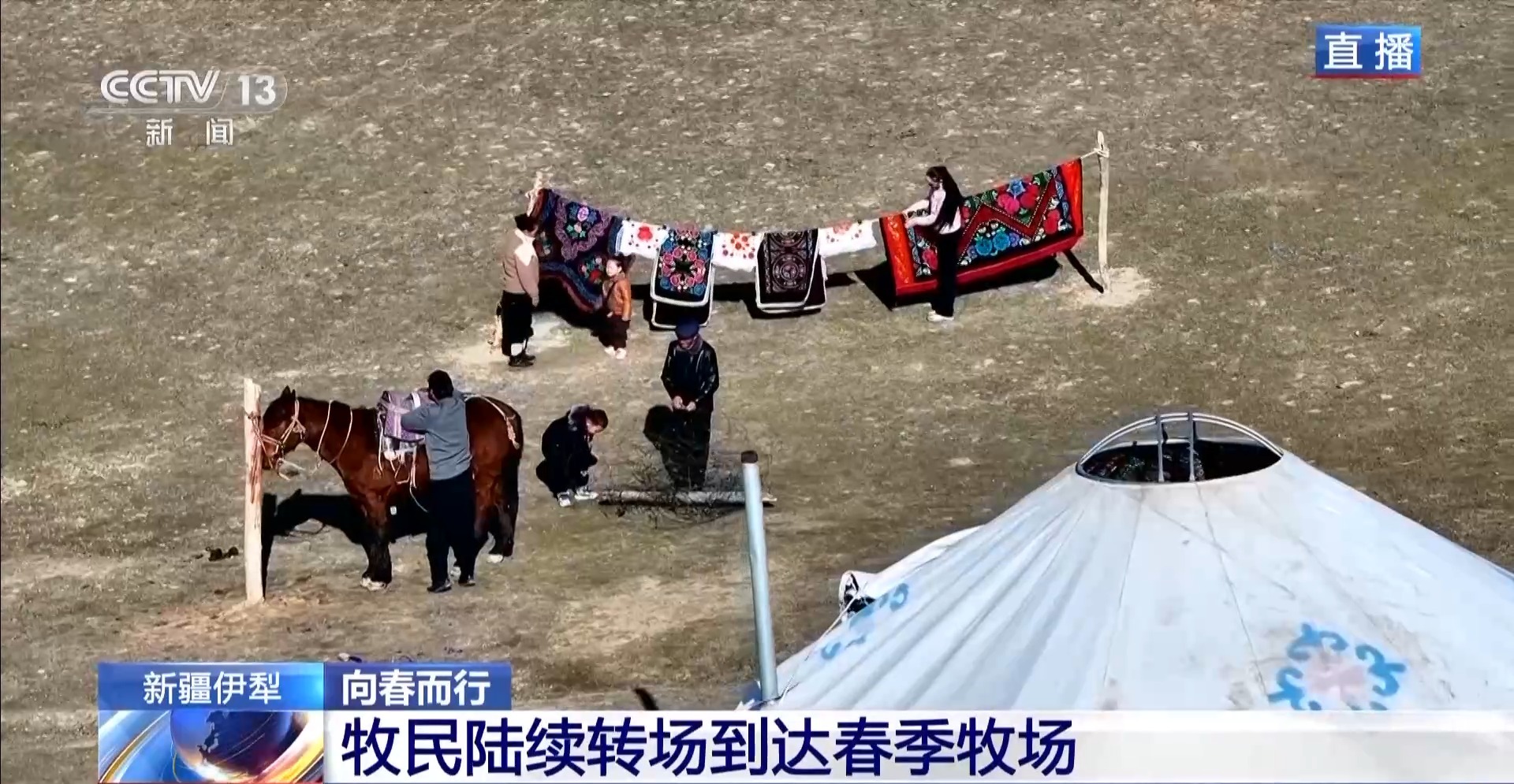 羊咩咩穿上了高科技“新衣”！来看新疆伊犁河谷牲畜春季转场(图3)