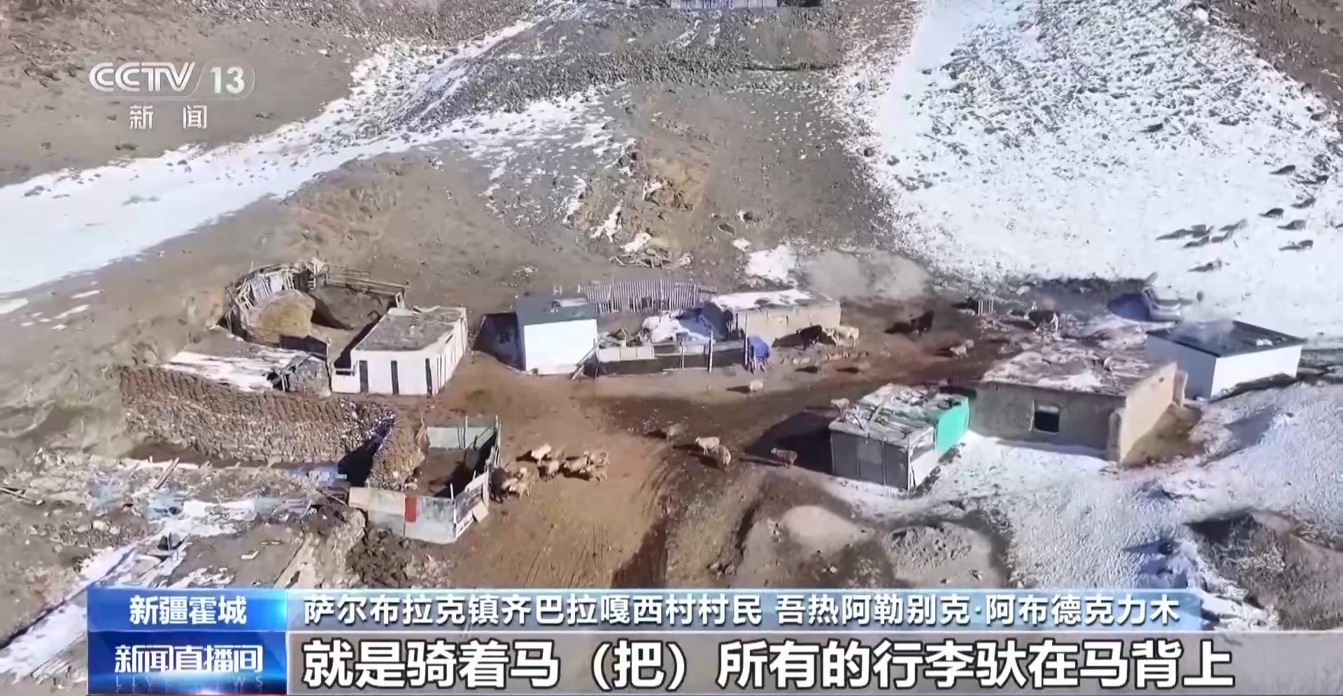 羊咩咩穿上了高科技“新衣”！来看新疆伊犁河谷牲畜春季转场(图9)