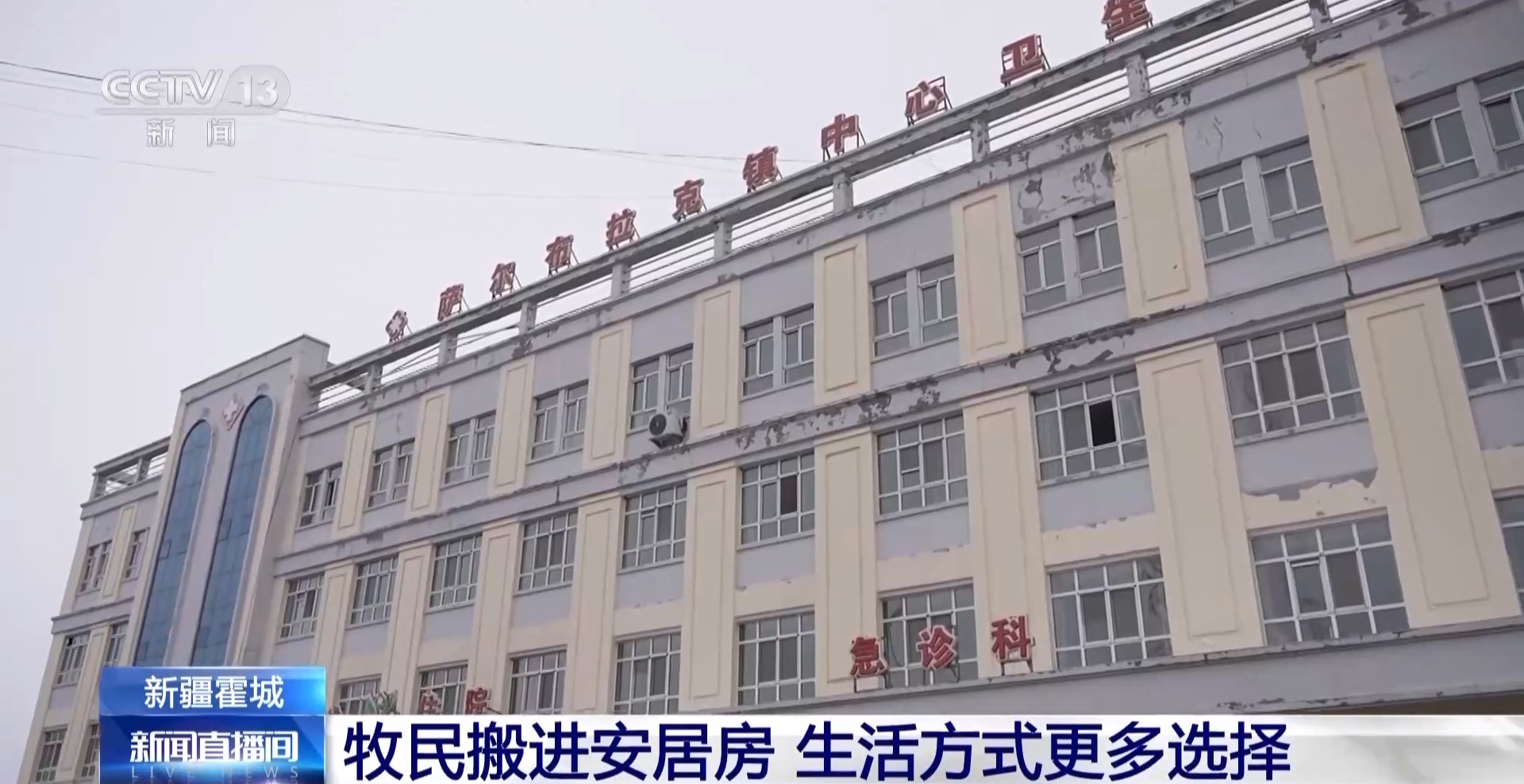 羊咩咩穿上了高科技“新衣”！来看新疆伊犁河谷牲畜春季转场(图16)