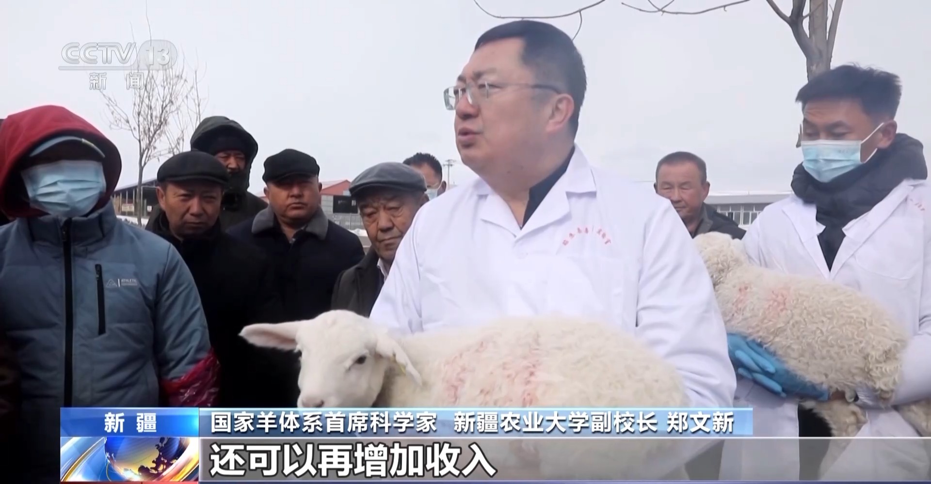 羊咩咩穿上了高科技“新衣”！来看新疆伊犁河谷牲畜春季转场(图21)