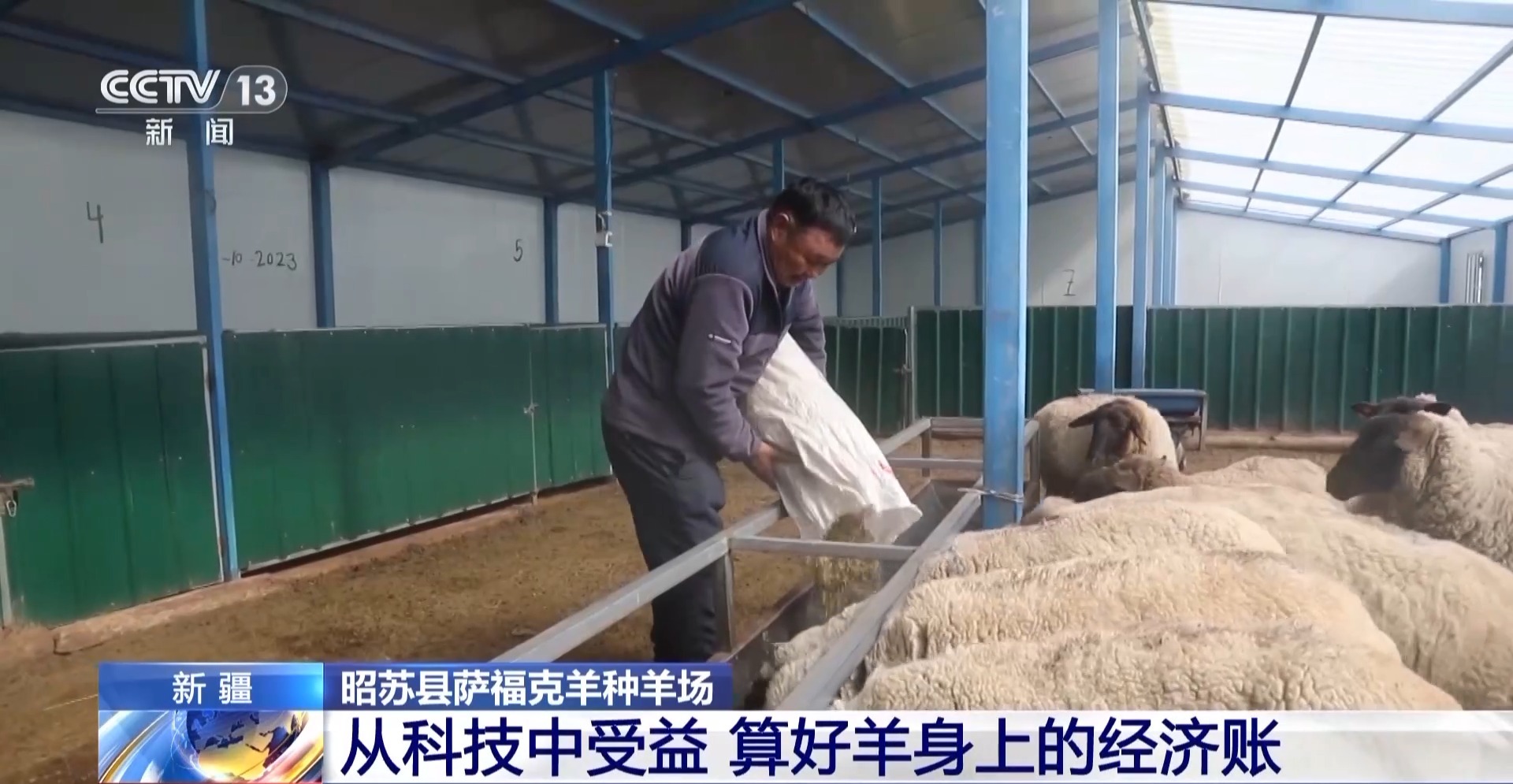 羊咩咩穿上了高科技“新衣”！来看新疆伊犁河谷牲畜春季转场(图23)