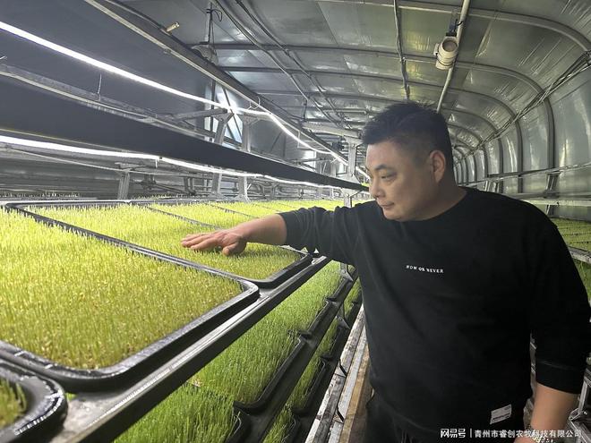 水培牧草设备的主要用途是什么？(图3)