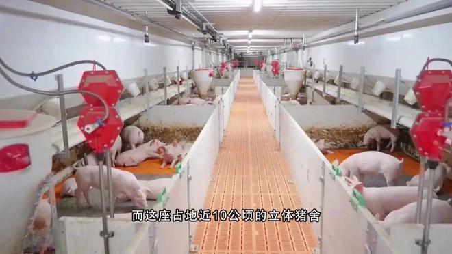 更智能更放心！广州也有自己的农业“硅谷”(图2)