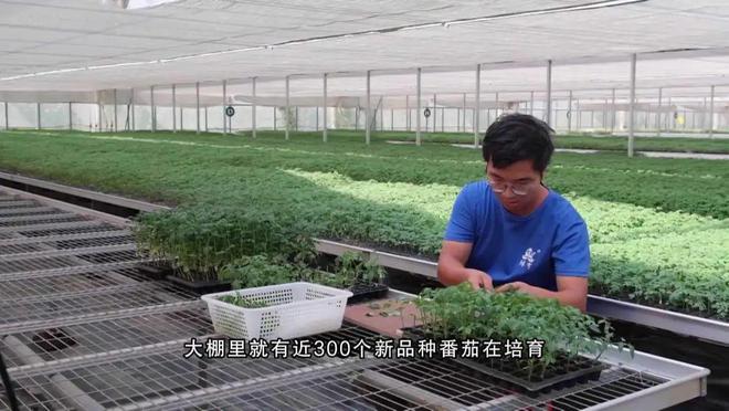 更智能更放心！广州也有自己的农业“硅谷”(图4)