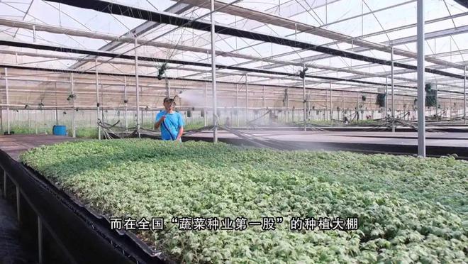 更智能更放心！广州也有自己的农业“硅谷”(图3)