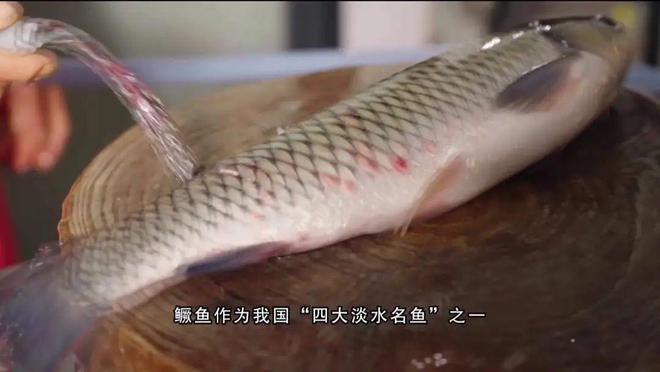 更智能更放心！广州也有自己的农业“硅谷”(图6)