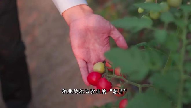 更智能更放心！广州也有自己的农业“硅谷”(图5)