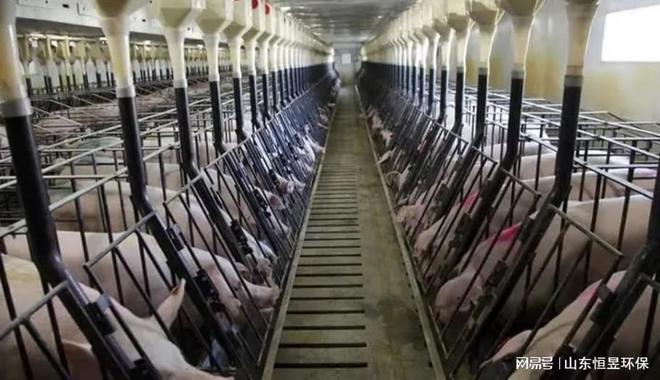 猪舍喷雾式除臭养猪场臭气除臭方案(图2)
