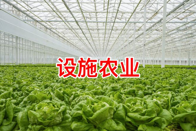 乡村振兴重磅文件发布！国家大力支持发展凯发国际现代设施农业！(图2)