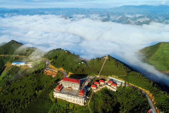2024年乐业县空气质量平均优良天数达99．7％