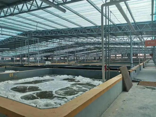 凯发旗舰厅最高罚款100万元！事关养殖尾水排放这里养殖户急了：没钱！