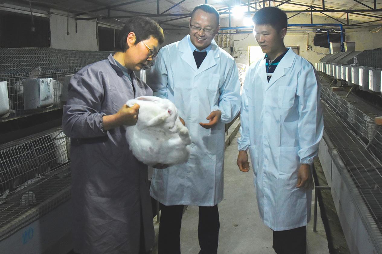 凯发旗舰厅自贡市荣县肉兔产业“兔”飞猛进现代化养殖开启新篇(图3)