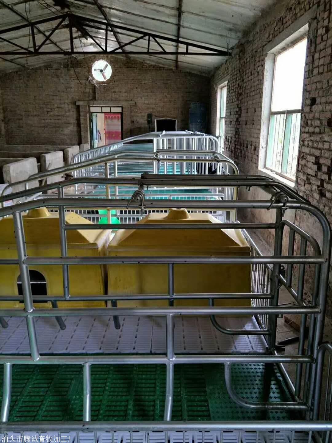 河北母猪产床生产厂家养猪设备批发安装厂家复合母猪产床价格、电话、图片