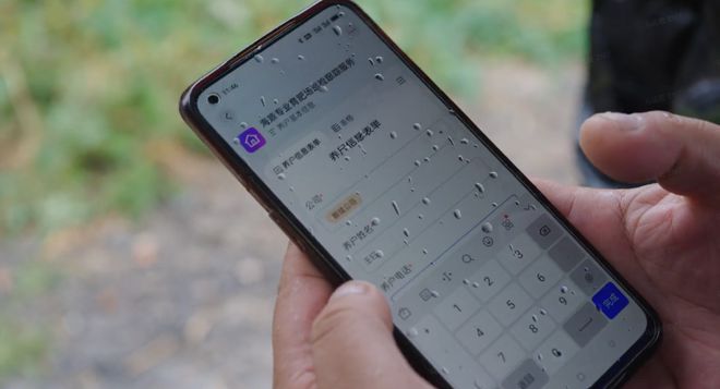凯发旗舰厅飞书下乡接招猪周期(图2)