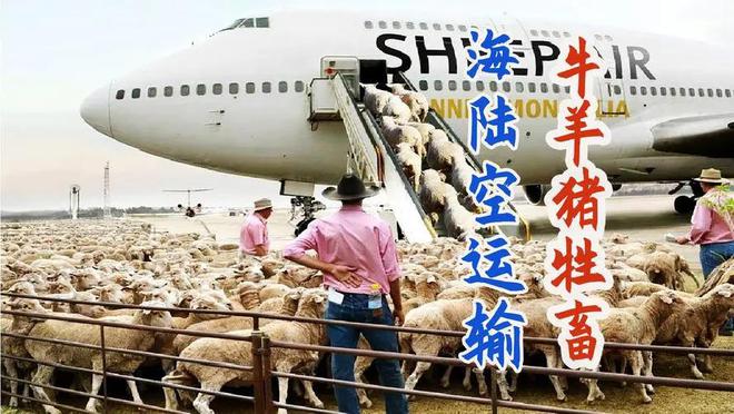 【农业行业观察】2025年畜牧行业10大发展趋势挑战与机会凯发国际并存！(图3)
