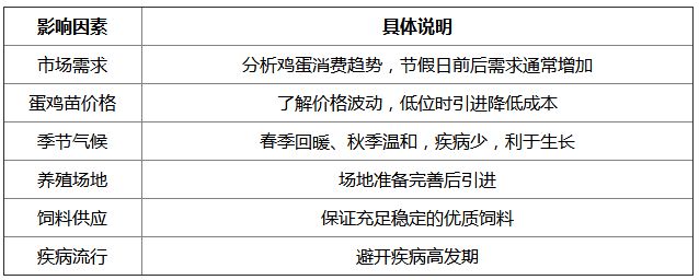 何时是引进蛋鸡苗的合适时机？这个时机的选择受哪些因素影响？(图2)