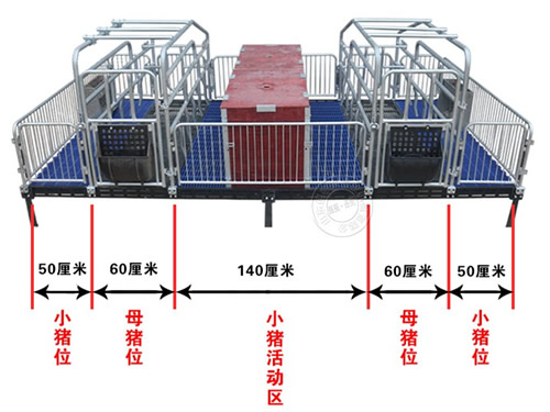 母猪产床厂家支持定做(图3)