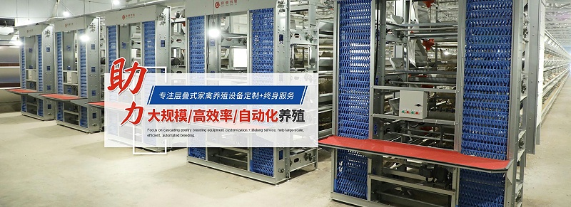 精准农业可以改善家禽养殖(图2)