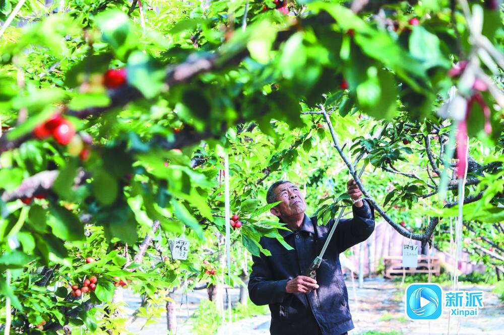 稳进提质励新致远——首季潍坊经济新观察(图3)
