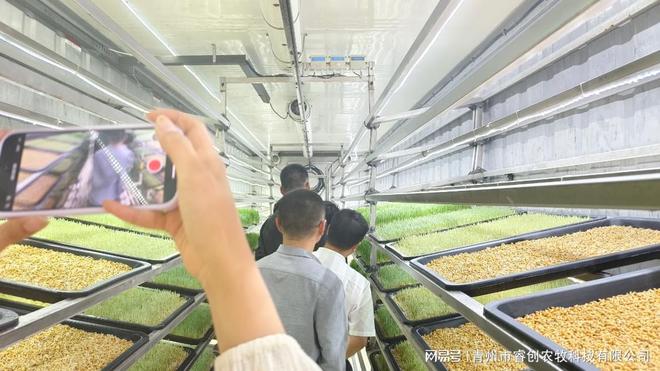 睿创农牧：水培牧草设备重塑现代畜牧业生态(图2)