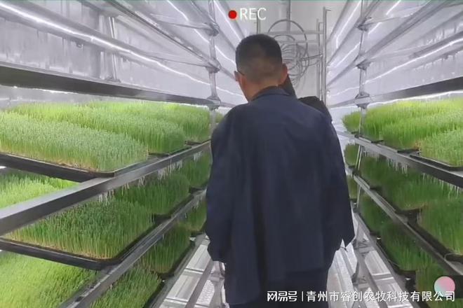 睿创农牧：水培牧草设备重塑现代畜牧业生态(图3)