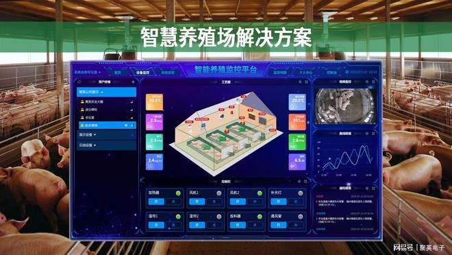 凯发国际数据可视化决策更精准：智慧养殖场物联网赋能牧场管理