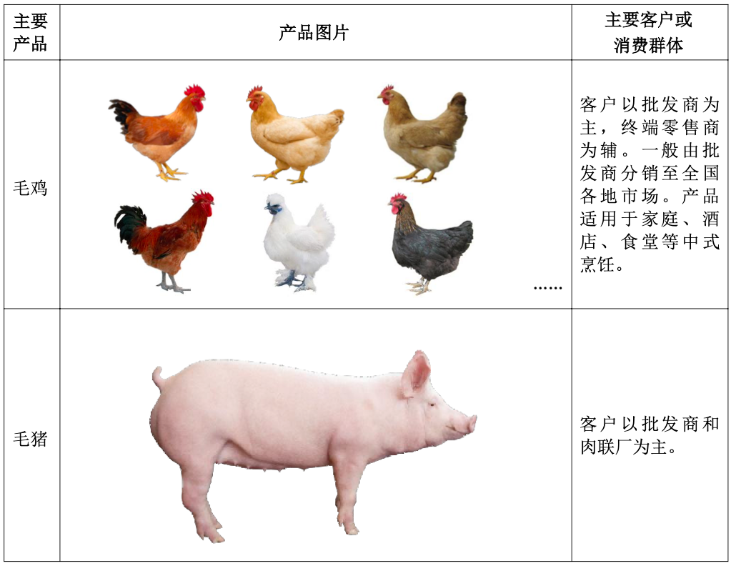 2024、2025Q1净利接连同增超2倍养殖龙头温氏股份营收首破千亿再启航丨业绩