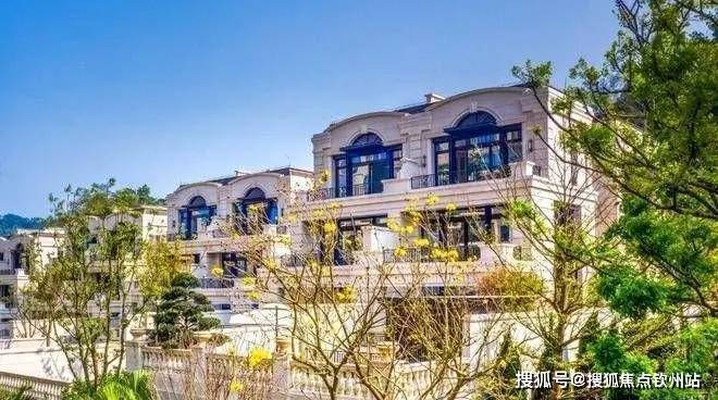 珠海·主城独墅收官争藏！华发山庄一墅难求【售楼处电话】凯发旗舰厅(图10)