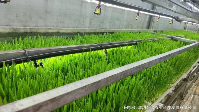 新型农业种植：箱式水培牧草种植设备(图2)