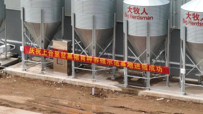 凯发旗舰厅年出栏量可达20000头！胶州这个养殖示范基地投入运营！(图2)