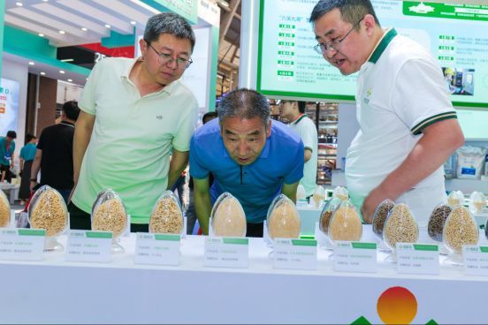 从AI增效凯发旗舰厅到联农增收新希望六和抢抓智慧养猪时代新机遇(图5)