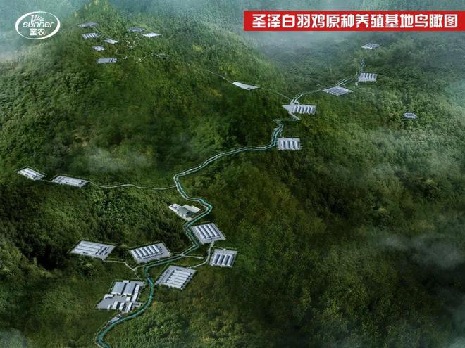 扭亏为盈！解码四大畜牧龙头的成本革命 农牧风云(图4)