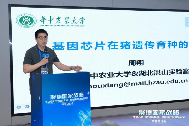 养殖设备_蛋鸡设备_肉鸡养殖自动化厂家-山东大佳机械有限公司(图2)