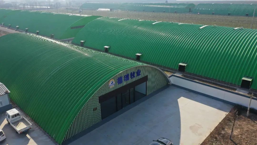 年产2万吨又一羊奶生产项目火热开工(图3)