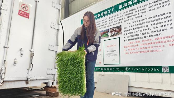 睿创农牧水培牧草设备：智能农业的未来种植引领者(图2)