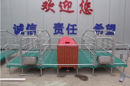 欧式产床定制_热浸锌畜牧、养殖业机械-河南省基德养殖设备有限公司凯发国际