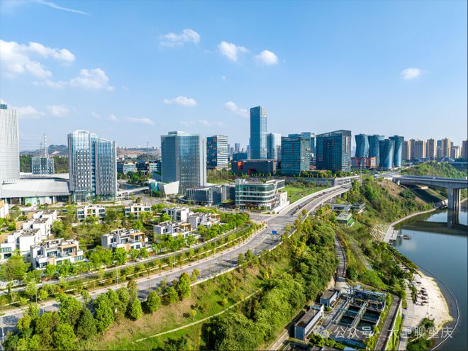 奥运冠军和多位大咖在重庆宣布了一件大事！(图8)