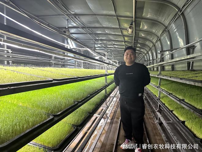 “永不停歇的牧草工厂”！水培技术365天连续生产打破季节限制(图2)