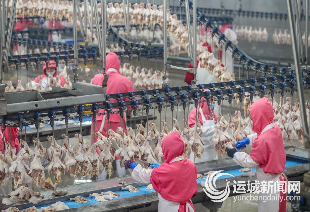 科技赋能畜牧业向“智”发力(图3)
