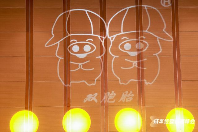 2025养猪产业峰会召开双胞胎“三百工程”帮助养户高质降本(图6)