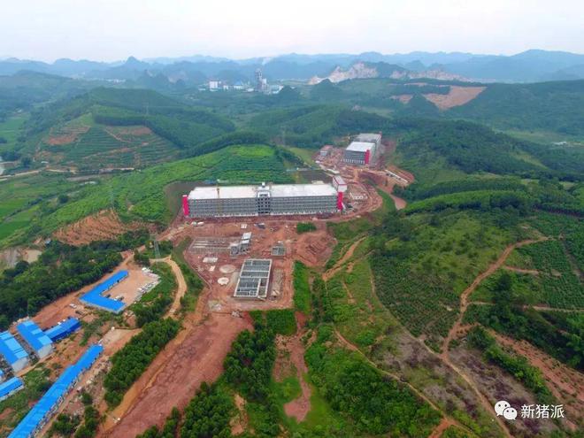 全国十大新建楼房猪场：最高210万头出栏8个已投产6个在广东
