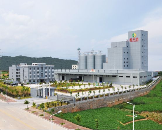 洪文炳：“基因+技术”双轮驱动探索养猪业“福建答案”(图7)