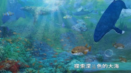 全民养鲸鱼最新版ag凯发